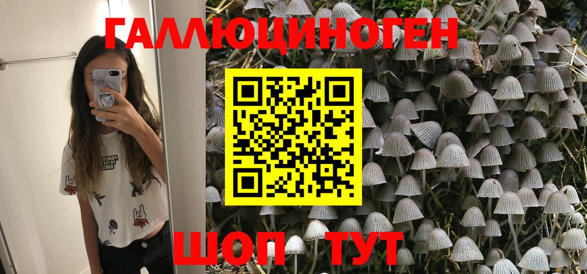 Псилоцибиновые грибы Psilocybine cubensis Ковров