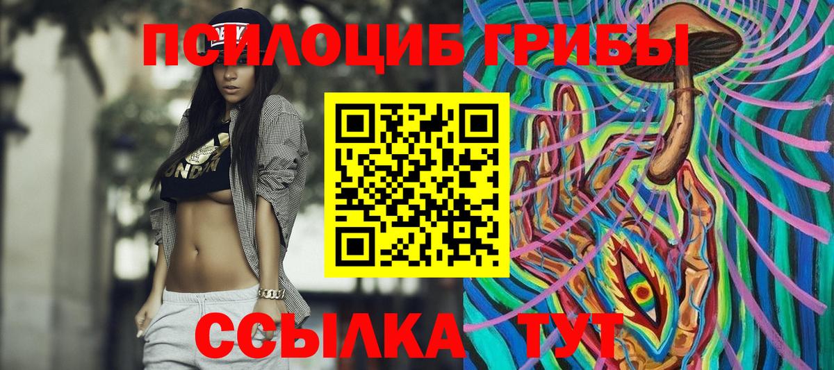 Ковров  Галлюциногенные грибы Psilocybine cubensis  Вход с VPN 